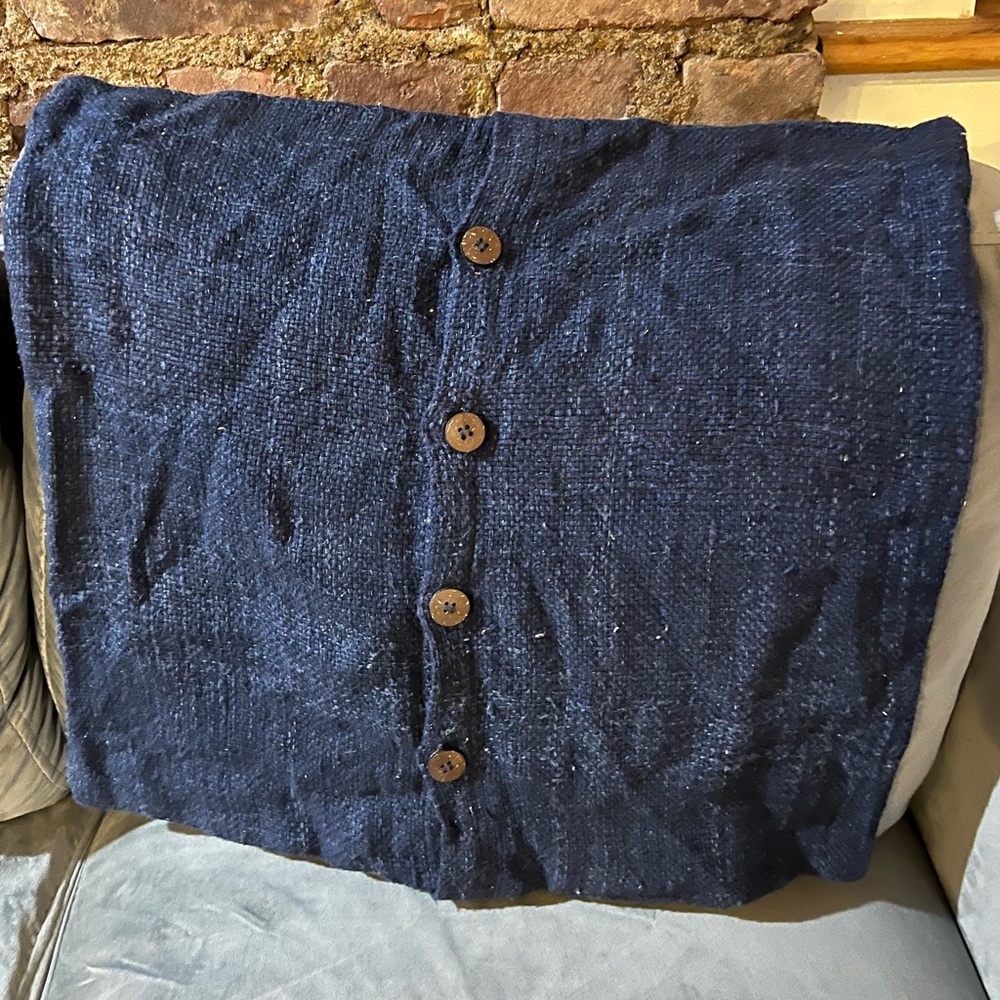 West Elm Blue Silk/Cotton Pillow Cover 20’